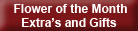 Flower of the Month Exrta's and Gifts